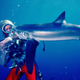 Image for article titled The Woman Who Played With Sharks and Lived To Tell About It (Of Course She Did)